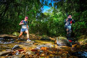 BIB: 507
                            <button type="button" onclick="openModal(21765861)" class="btn btn-primary btn-sm float-right btn-popup" data-toggle="modal" data-target=".modal-high-quality">
                        <i class="fas fa-shopping-cart"></i> Add to Cart
                    </button>
                                            <button type="button" onclick="isThisMe(21765861, true)" class="btn btn-success btn-sm float-right btn-popup btn-isme hidden" data-toggle="tooltip" data-placement="bottom" title="นี่คือรูปของคุณใช่ไหม คลิกที่นี่เพื่อเอาเข้าอัลบั้ม">
                        <i class="fas fa-plus"></i> Add to album
                    </button>
                    <button type="button" onclick="isThisMe(21765861, false)" class="btn btn-warning btn-sm float-right btn-popup btn-isnotme hidden">
                        <i class="fas fa-ban"></i> Remove from album
                    </button>